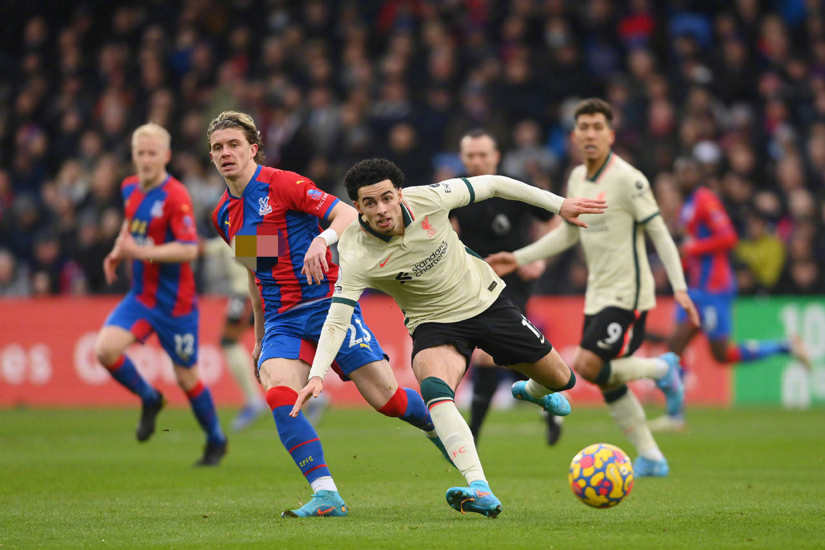 政府政策的 政府政策的